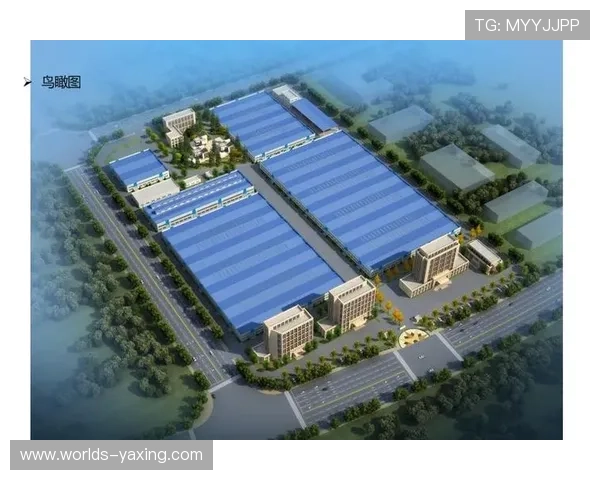 亚星建筑集团有限公司在行业中的发展历程与未来规划详解